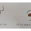 오카리나 이미지