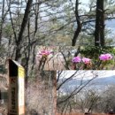 개금3동-23 이미지