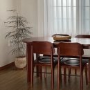 설이네바다펜션 | 🏡 호그니 하우스 | 제주 서귀포 숙소 추천 제주 가족여행 숙소 제주 독채 펜션 서귀포 감성 숙소
