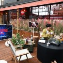 라이프오락실 이미지