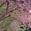 진양호공원전망대 이미지