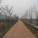 김해시, '화포천 아우름길'에 벚꽃길 조성 이미지