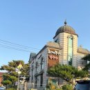 미사리밀빛초계국수 | [내돈내산] 미사리 밀빛 초계국수 후기! 초계국수+칼국수 조합 추천