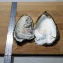 평창1급자동차공업사 이미지