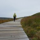 제주나루 이미지