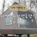 태백고원자연휴양림 | 태백고원자연휴양림 트리하우스 5호에서 보낸 하루