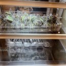 더스윗 | 여의도 더현대 두쫀쿠 팝업 디어스윗랩 웨이팅 후기