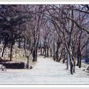 대창초등학교 이미지