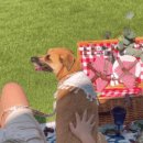 까사델뻬로 이미지