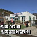 꿀뱀이 | 경북 칠곡 아이랑 가볼만한 곳 실내 칠곡동물체험카페