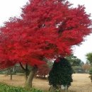 우리농원 이미지