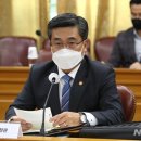 평화5(쌍둥이) 이미지