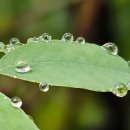 <경계에 서다> 이미지