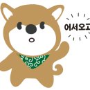 핫독애견백화점 이미지