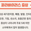 파라 이미지