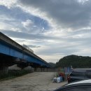 젤리피쉬팬션