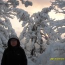 꿈의궁전 이미지