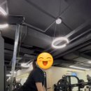 진도헬스 | [운동 유목민 2편] 플라잉 요가 &amp; PT 헬스 솔직후기 (내돈내산)