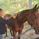 마림목장 이미지