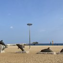 외옹치항 활어판매장 이미지