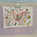 초등학력인정 교육과정 | 초등 학부모총회 후기, 공개수업부터 담임선생님까지 솔직 기록