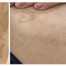 나의계절의원 이미지