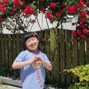 크레듀어린이집 이미지