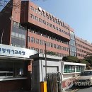 감정초등학교 이미지