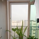 나노네이처 이미지