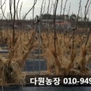 후인농장 이미지