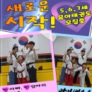 각화초병설유치원 이미지