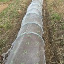 부평농업협동조합영농자재센터 이미지