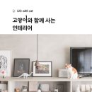 종합인테리어바른