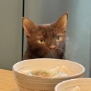 오쿨리한방병원 이미지