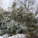 포시즌펜션민박 이미지