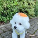 행복한유치원 이미지