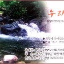 누리봄