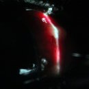 하 수의과 동물병원 이미지