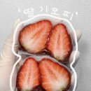 [ 모찌마루 제주 ] 제주도 모찌 추천 | 제주공항 모찌마루 후기