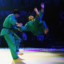 용인대통일태권도 이미지