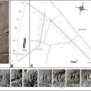 진주서 발견 1㎝ 랩터 공룡발자국 화석…세계 최소 인정 이미지