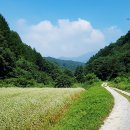 원주굽이길 14코스 용소막성당길 이미지