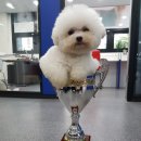 프로펫 본점 이미지