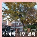 청원벌목