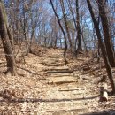 강남-293 이미지