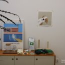 피크니(PICNII) 네이버블로그