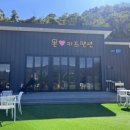 온키즈펜션