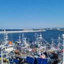 강릉더굿공인중개사사무소 | 양양부동산 블로그입니다