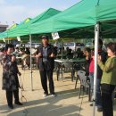 유림초등학교 이미지