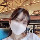 알파메디아 이미지